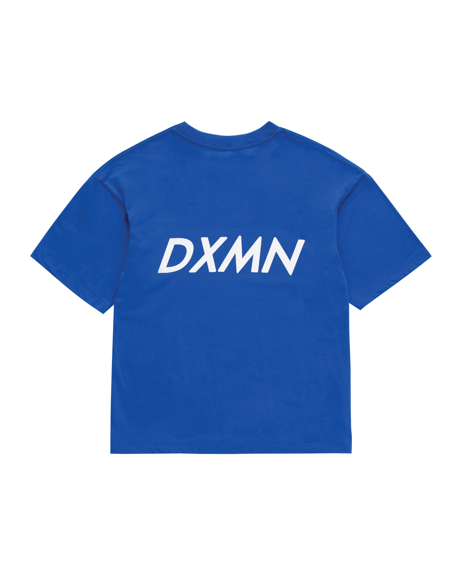 Double Logo Oversized Tee (Blue) 3